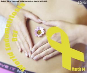 yapboz Dünya Endometriozis Günü